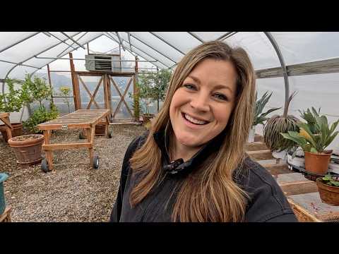 Repotting in the Greenhouse, Watering the Studio & Baking Orange Pound Cake! 🪴💦🍊