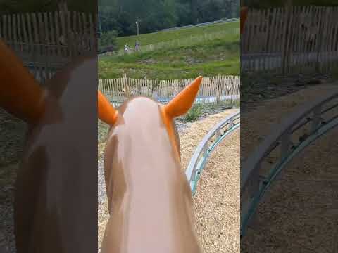 A ride for fun #travel #fortfun #yakari