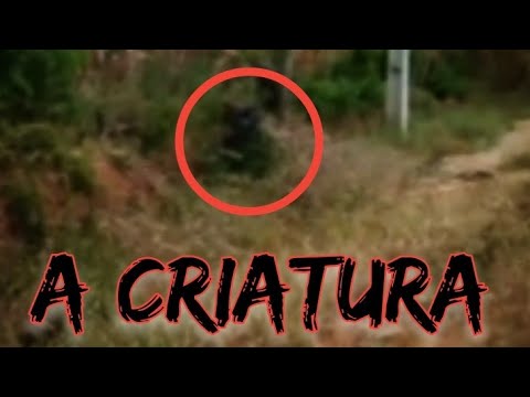 FINALMENTE ENCONTRAMOS A CRIATURA - CAÇADORES SOBRENATURAIS
