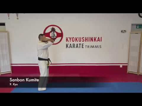 9.Kyu Kyokushinkai Sanbon Kumite