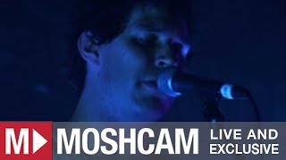Animal Collective - Fireworks | Live in Sydney | Moshcam