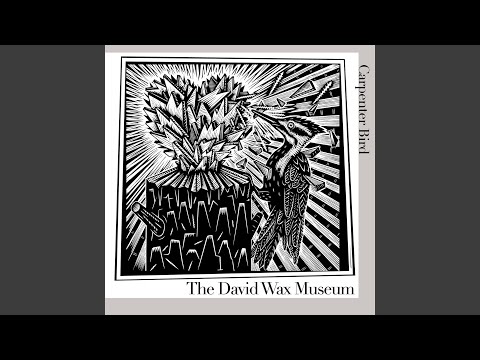 Beekeeper - The David Wax Museum