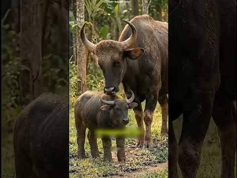 eles não o reconheceram, mas de repente