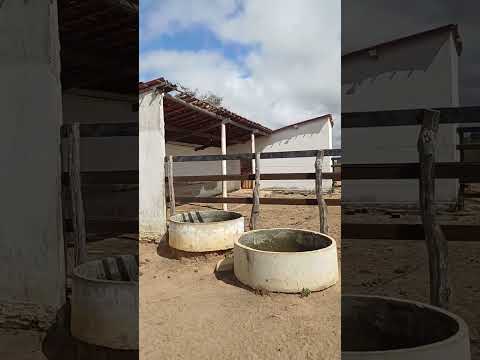 vendo essa maravilha 106 hectares em bodoco pe 8799102 3154