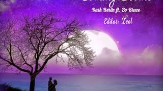 Coming Home- Dash Berlin ft.Bo Bruce