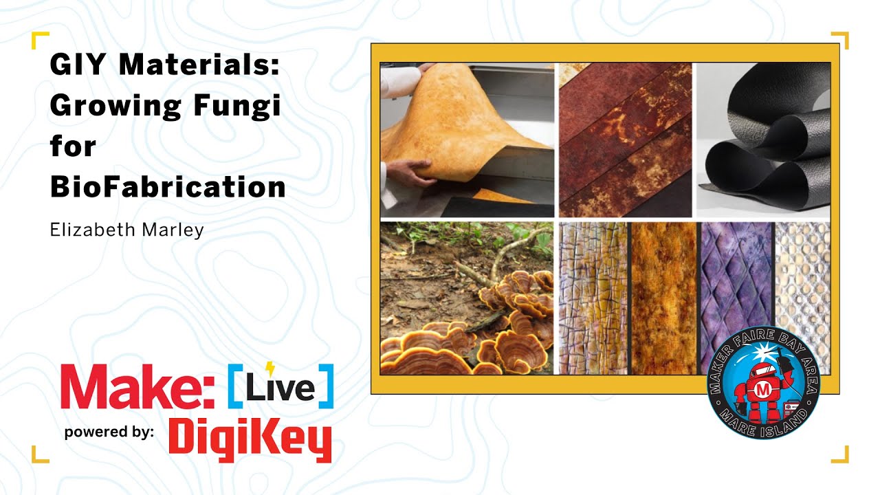 GIY Materials: Growing Fungi for BioFabrication -  Elizabeth Marley