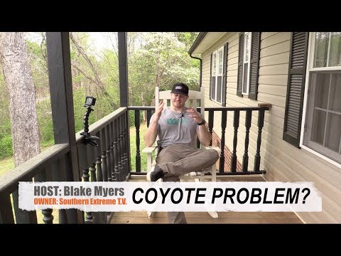 Have A Coyote Problem?