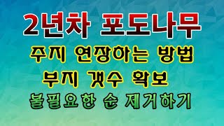 [텃밭농부.1,000]  포도나무 2년차 주지를 연장하고 부지의 갯수 30개를 확보