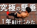 【究極の懸垂】フロントレバーを15ヶ月間継続した結果、鬼の背中に!!【背中トレ】Front lever/progression/Calisthenics/Street Workout
