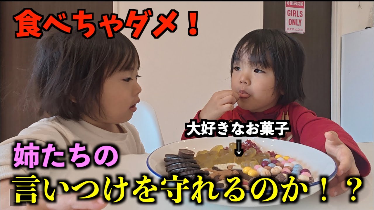 弟たちは姉の言いつけを守れるのか検証してみた