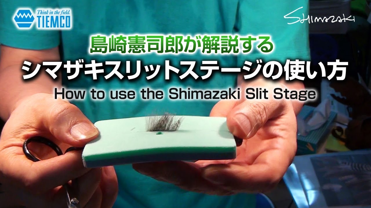 ROD Shimazaki Slit Stage