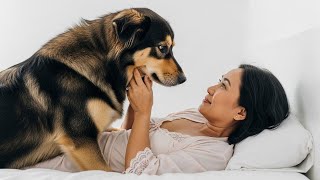 Download lagu Kisah Nyata!! Anjingku Menjilat Kacangku Sampai Membuatku Ketagihan Setiap Suamiku Pergi mp3