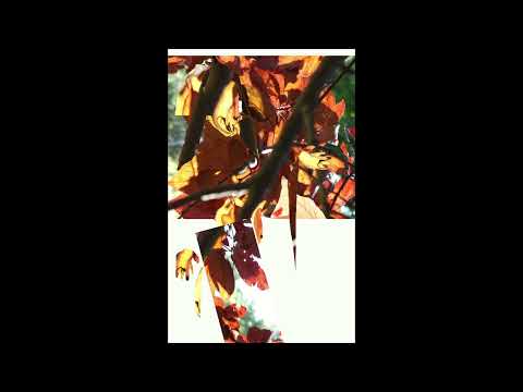 party - Gods honest truth