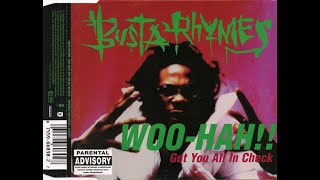 Busta Rhymes - Woo Hah!! Got You All In Check (Origin Unknown Mix)