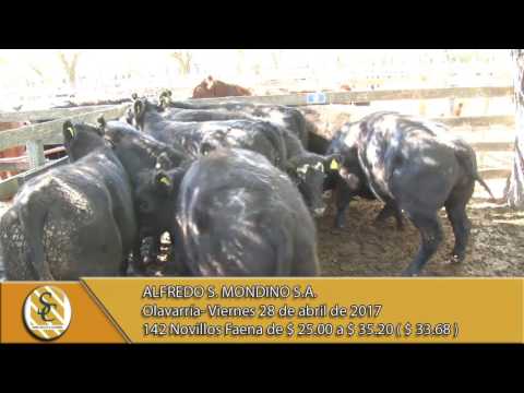 28-04-17 - Venta de hacienda al kilo - Alfredo S. Mondino S.A - Olavarría