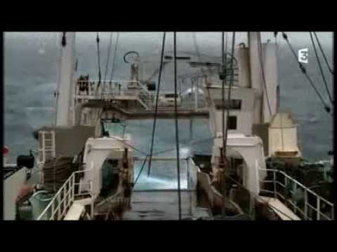 Reportage Thalassa - France 3 - MOLECULE 