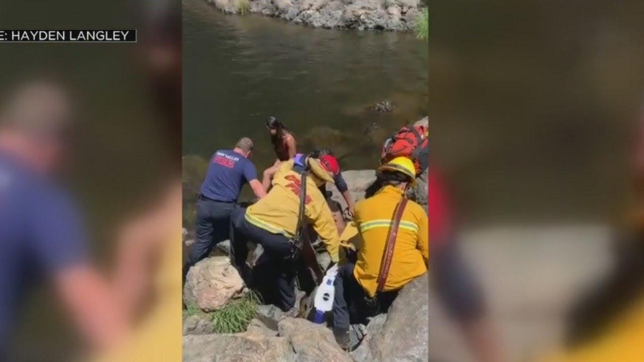 Swimmers Save Teen In Cliff Diving Incident