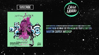 BouncyBob vs What Do You Mean vs Truffle Butter (Martin Garrix Mashup) (AMF 2015)