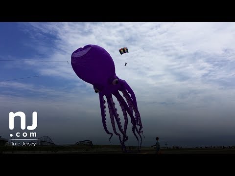 Международный фестиваль воздушных змеев