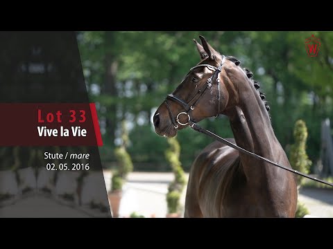 33 Vive la Vie Stute v. Veneno - Stedinger