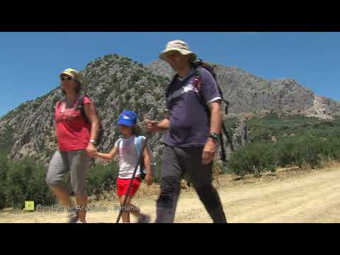 The Great Mlaga Path. Stage 8: Canillas de Aceituno - Periana (English)