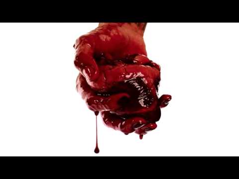 PUSHKA - Lovedivided (Diablo Cover) video thumbnail