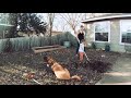 Yard Twerk