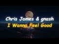 Chris James & gnash - I Wanna Feel Good (Lyrics)