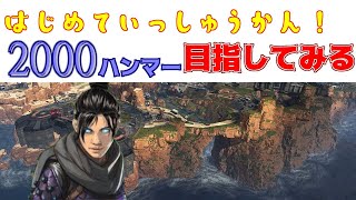 初心者が2000ハンマー叩きだしてやろうって配信【APEX】