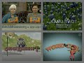 PBS Kids Program Break 2009 KAMU Incomplete