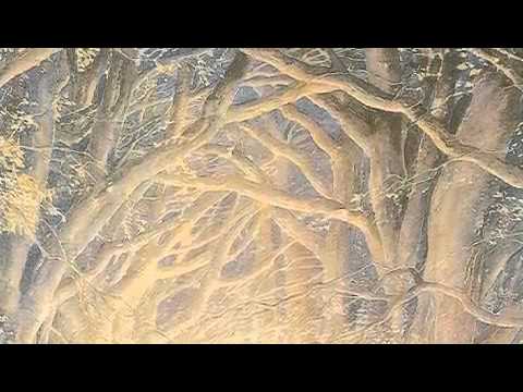 Songs of The Lord of the Rings - IN WESTERN LANDS