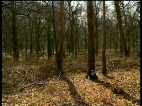Four Seasons Ray Mears Bushcraft S2E5 Part 1
