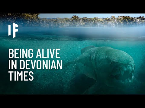 What If You Lived in the Devonian Period?