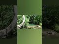video bM6n4ukaGPc