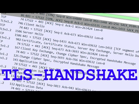 TLS Handshake unter der Lupe (Wireshark incoming!)