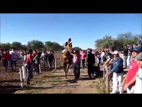 VOLVERE-PISTA PANGARE 10/01/17