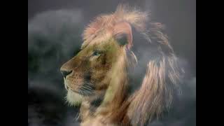 Moody Blues   Justin Hayward   Children of Paradise