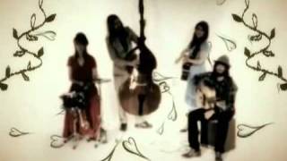 Angus and Julia Stone - Wasted [Official Music Video].mp4