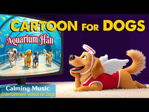 Dog Cartoon: Calming Dog TV for Bored Dogs Home Alone – Reduce Stress & Anxiety with Music for Dogs