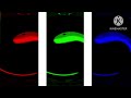 Cocomelon Logo Effects Ln Ln Red Green And Blue