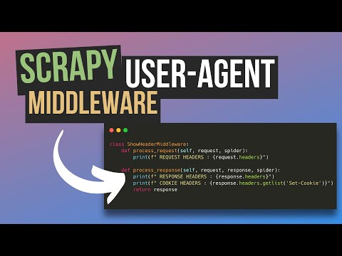 I Think Scrapy Is Easier Than BS4