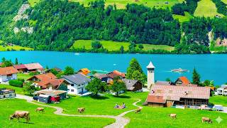 Beautiful Relaxing Music - Healing Music For Health And Calming The Nervous System, Deep Relaxation