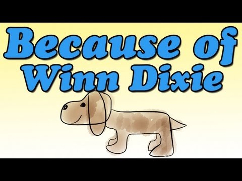 Because of Winn Dixie by Kate DiCamillo (Book Summary and Review) - Minute Book Report