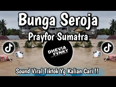 BUNGA SEROJA (PRAY FOR SUMATRA 2025) A SAD SONG FOR SUMATRA FLOODS 🌧️
