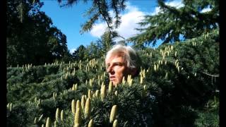 Robyn Hitchcock 20121013 early show 7pm The Old Town School of Folk Music Chicago, IL
