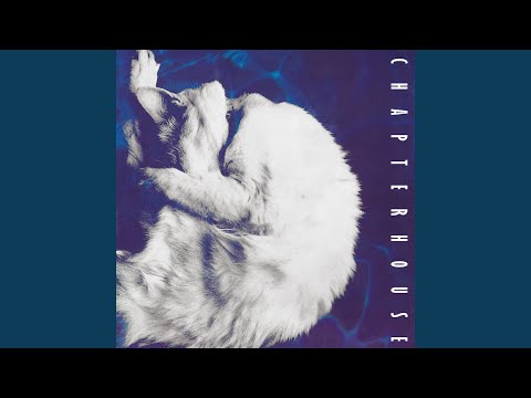Precious One - Chapterhouse