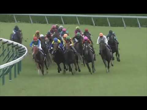 2020 JRA  THE TAKARAZUKA KINEN _ Hanshin