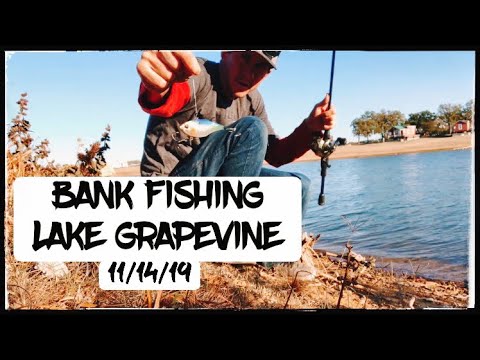 YouTube video about: What fish are in grapevine lake?