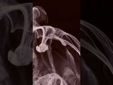 Warp-Style Electronic | IDM, Glitch, Braindance