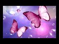 Free The Butterfly - Suzi Quatro.wmv